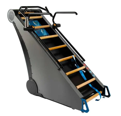 Exercise Ladder Rungs